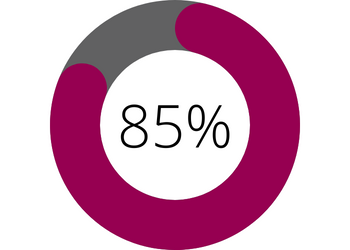 Circular data grapgic set at 85%